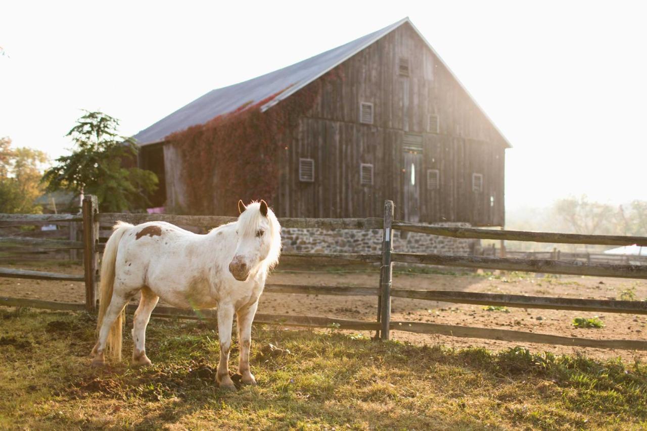 Gettysburg Battlefield Bed & Breakfast Inn Ngoại thất bức ảnh